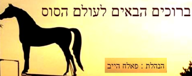 עולם הסוס