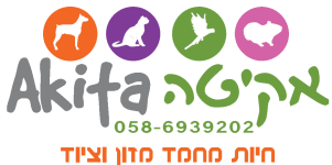 אקיטה