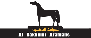 Al Sakhnini Arabians