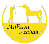 Adham Stables