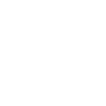 צוות המקצוענים